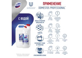 Domestos Prof