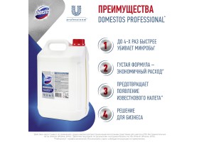 Domestos Prof